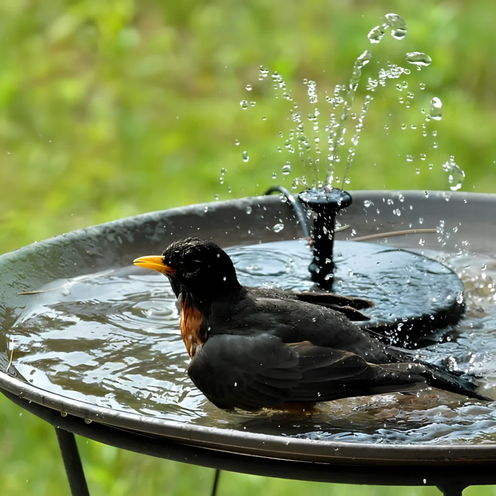 Solar Powered Radiance Fountain - Image 4